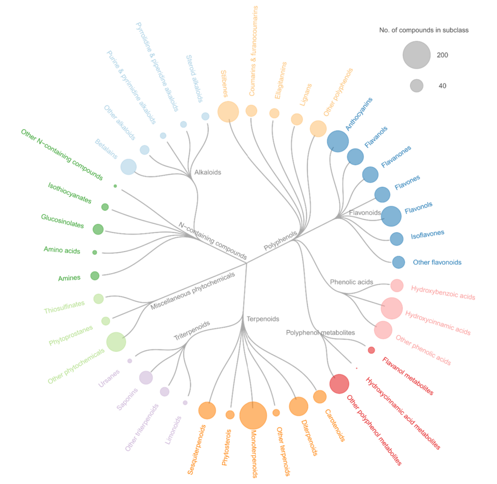 Phytochemical dendrogram